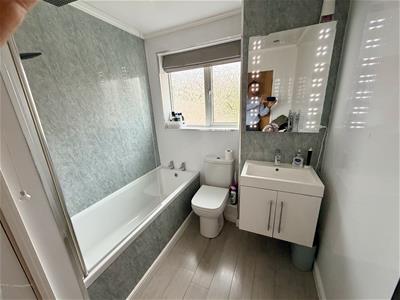 Picture 13